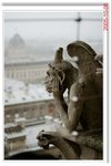 _MG_2896