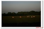 _MG_7642