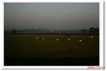_MG_7644