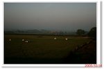 _MG_7645
