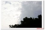 _MG_5978