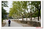 _MG_5986