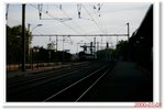 _MG_5955