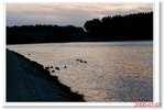 _MG_5964
