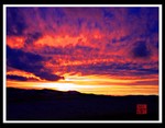 CRW_5906