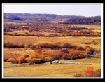 IMG_5689