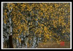 IMG_6743