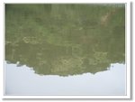 R1149703