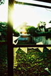 aother view of my home