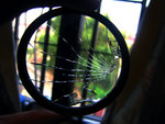 broken...view