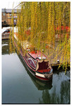 camden town