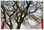 kingston hill local park