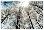 014_11A copy