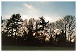 027_24 copy