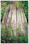 028_25 copy