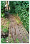 029_26 copy