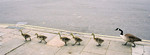 F1000025 copy_xpan