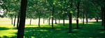 F1010036 copy_xpan