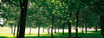 F1010036 copy_xpan2