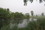 �վ�j�pDSCF2159