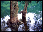 img086a