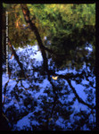 img088a2