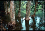 img759a
