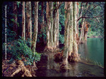 img788a2