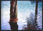 img790a2