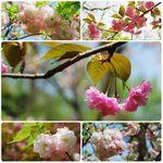 100402-015