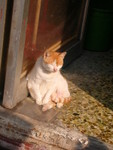 �i�v�v����~�n�r�}��~~