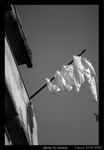 IMG_3379