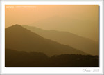 IMG_3696_COPY