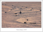 IMG_4002_copy