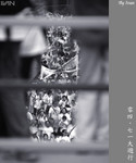 IMG_6521_copy