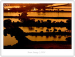CRW_8625_copy