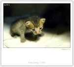 IMG_7907_copy