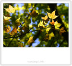 IMG_7933_copy