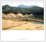 IMG_7935_copy
