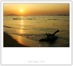 IMG_8055_copy