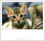 IMG_8487_copy