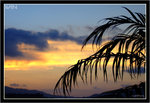 DSCF0648p_copy