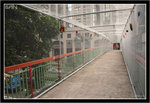 IMG_9943p_resize