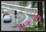IMG_9962p_resize
