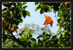 IMG_0099_copy