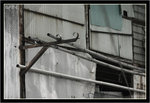 IMG_0137_copy