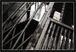 IMG_0169_copy