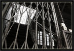 IMG_0173_copy