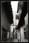IMG_0206_copy
