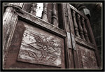 IMG_0215_copy